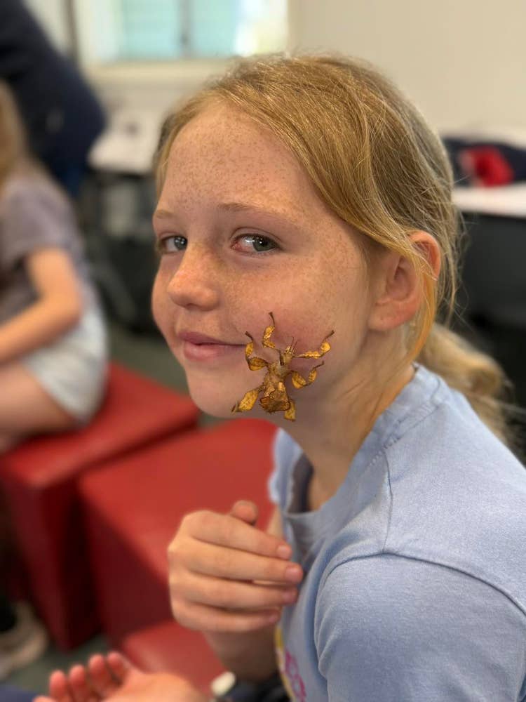 No photo description available.