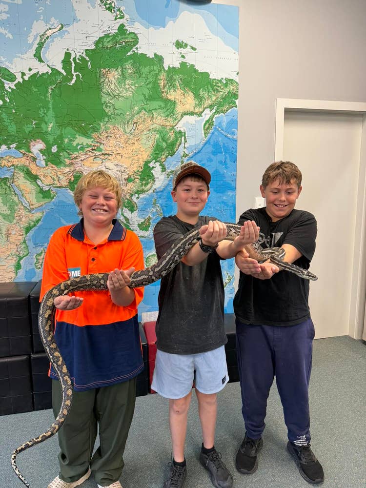 May be an image of snake