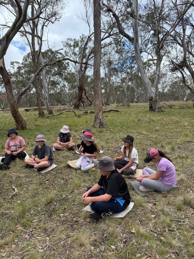 No photo description available.