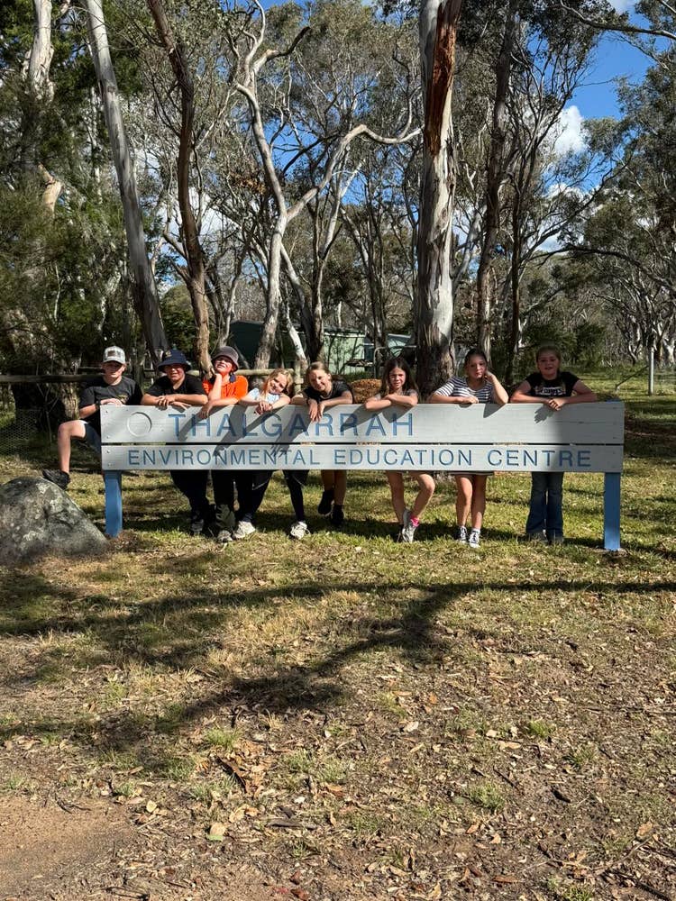 May be an image of tree