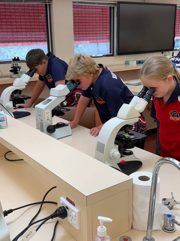 May be an image of studying and text